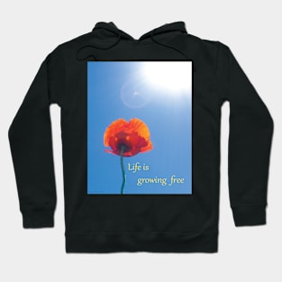 growing free Hoodie